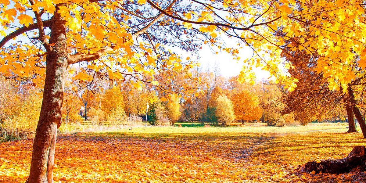 Kwatery pracownicze Osiek. Jak cieszyć się jesienią?