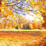 Kwatery pracownicze Osiek. Jak cieszyć się jesienią?