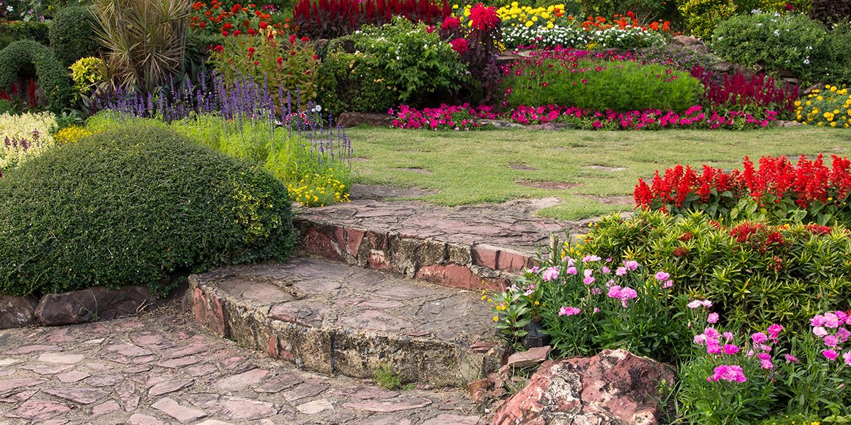 Ogród Sensoryczny Dolina Karpia