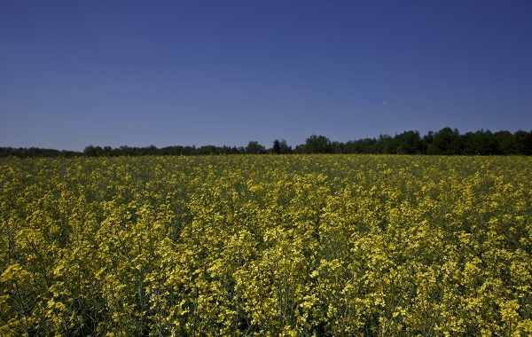 Hotel Pracowniczy Wichrowe Wzgórze 6